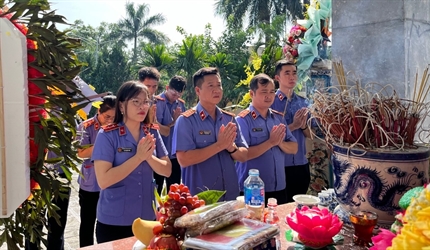 Viện KSND các huyện Ba Vì, Sóc Sơn, Đông Anh thực hiện chuỗi hoạt động...